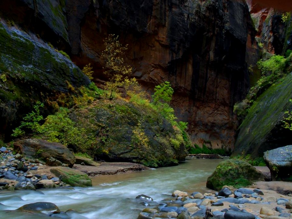 Zion Narrows 9