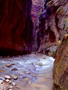 Zion Narrows 4
