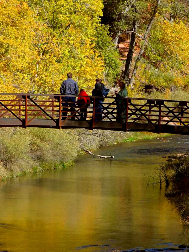 Zion National Park 8