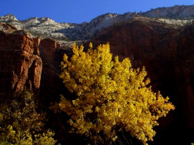 Zion National Park 4