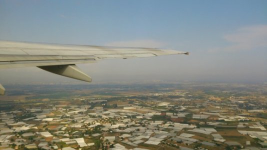 Wing In The Sky