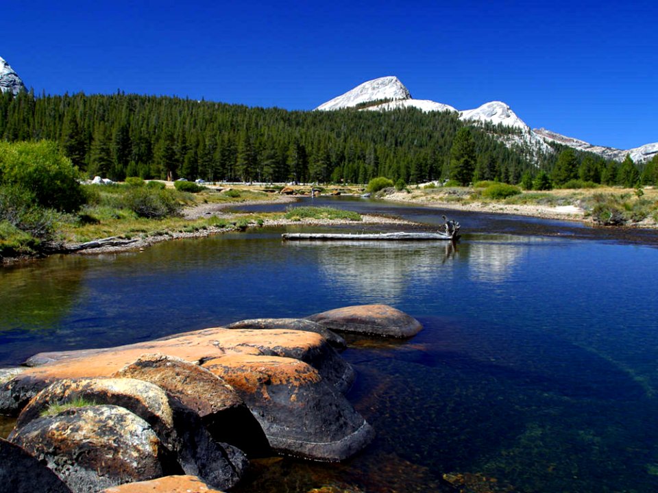 Yosemite Stream