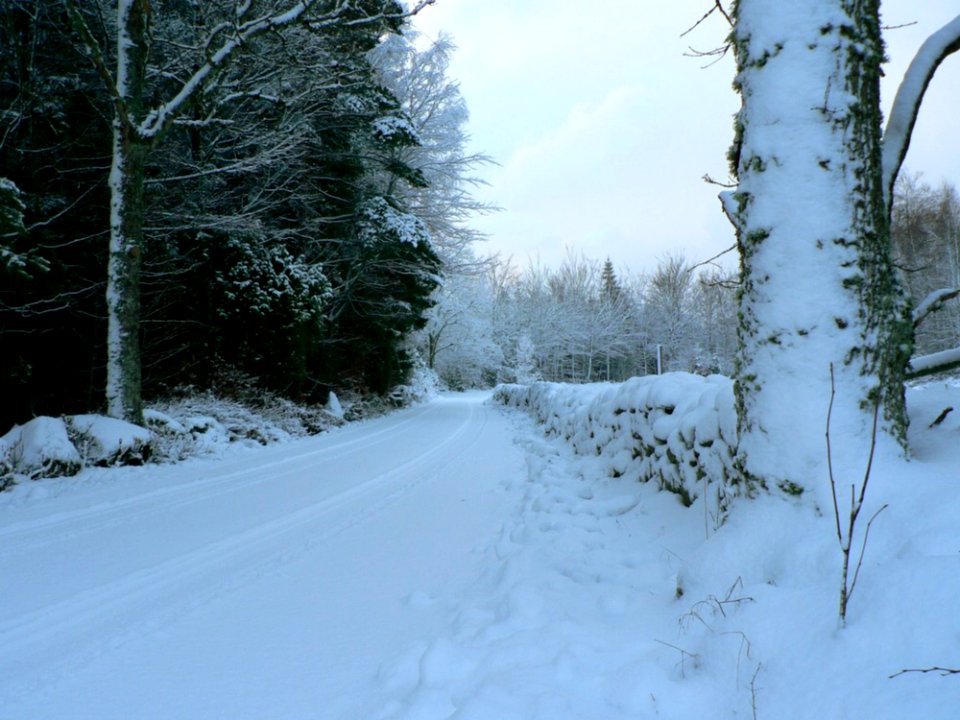 Winter Road