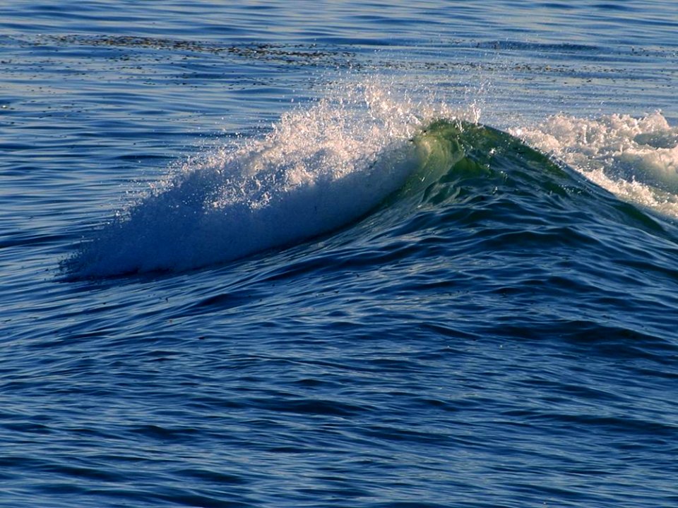 Wave
