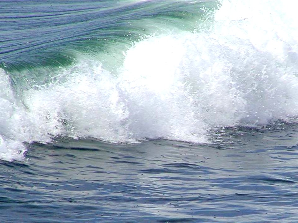 Wave 5