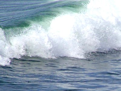 Wave 5