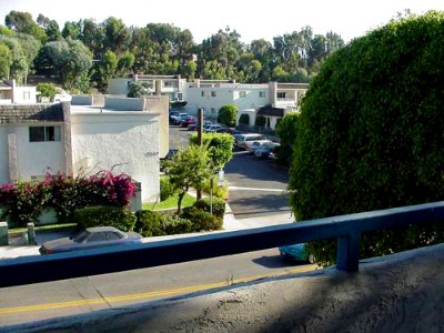 View From Balcony