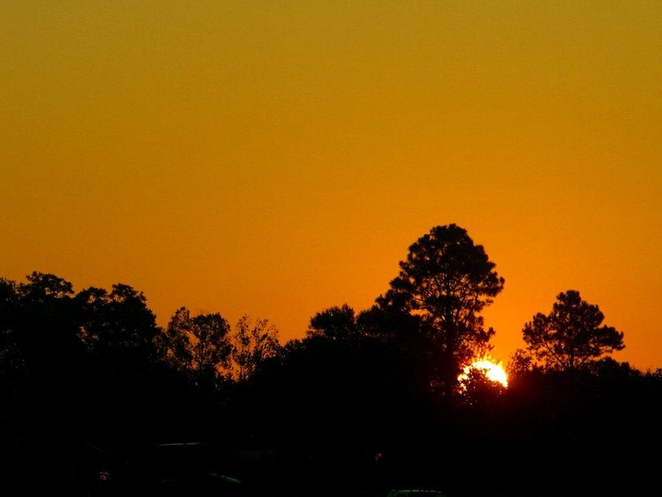 Sunrise 4