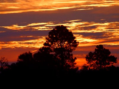 Sunrise 2