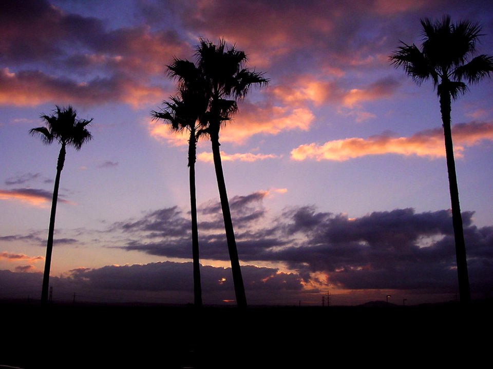 Sunrise