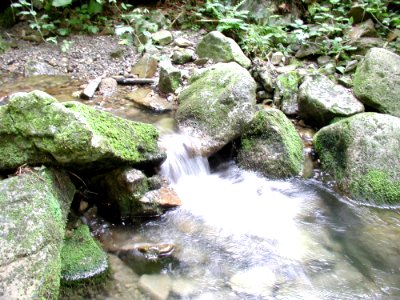 Stream 19