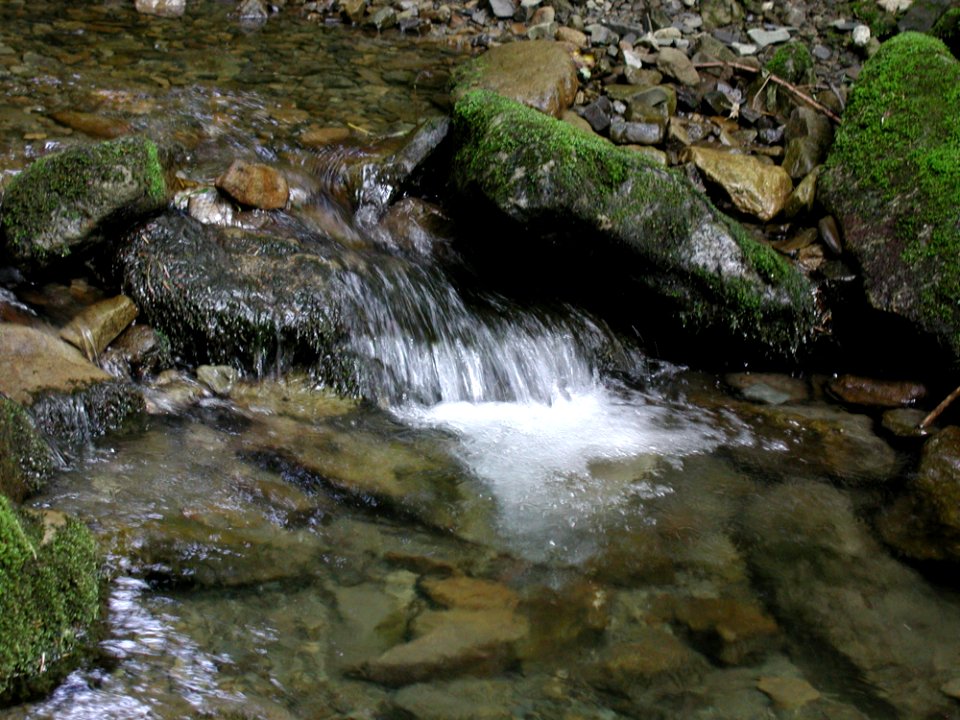Stream 24