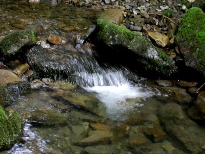 Stream 24