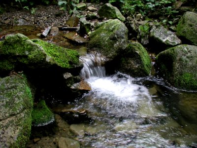Stream 16