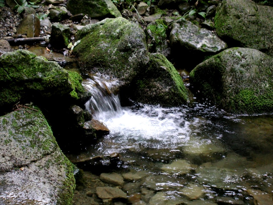 Stream 11