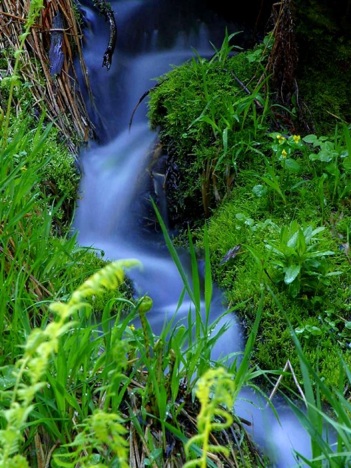 Stream 5