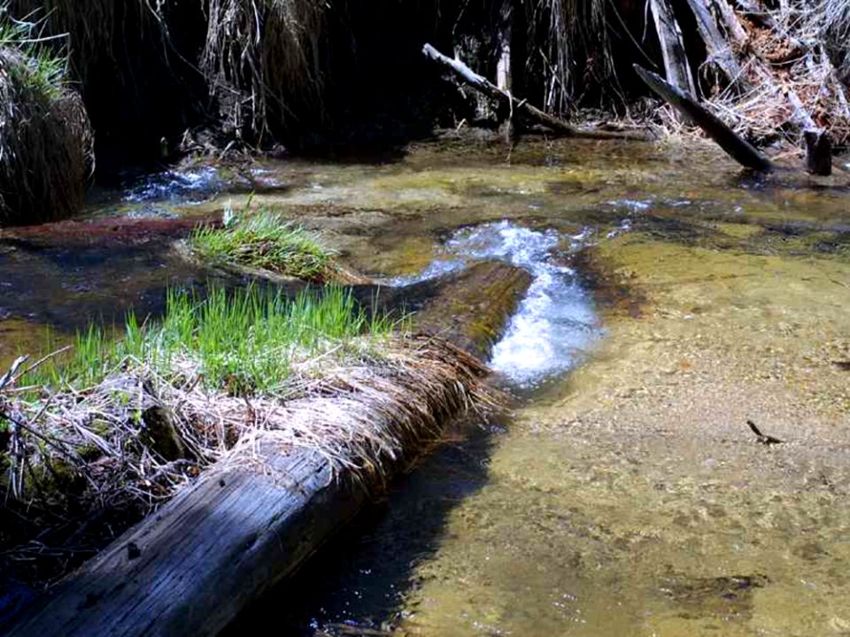 Stream 7
