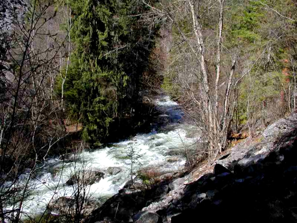 Stream 2