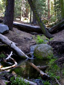 Stream 3