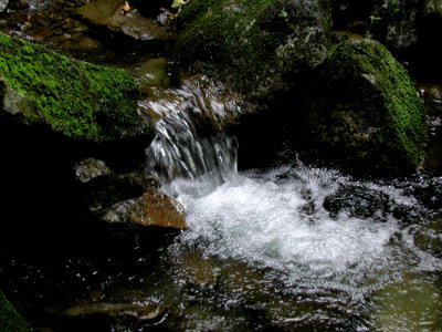 Stream 20