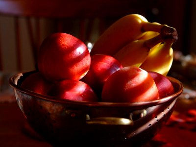 Still Life