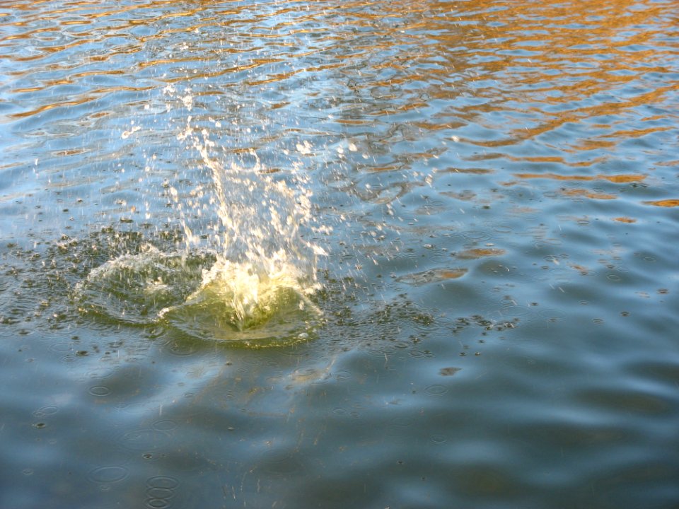 Stone And Water