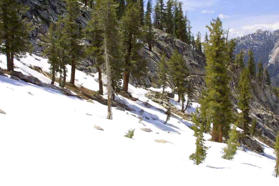 Snow
