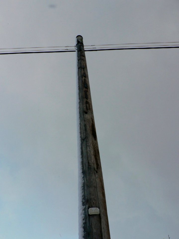 Snowy Telephone Pole