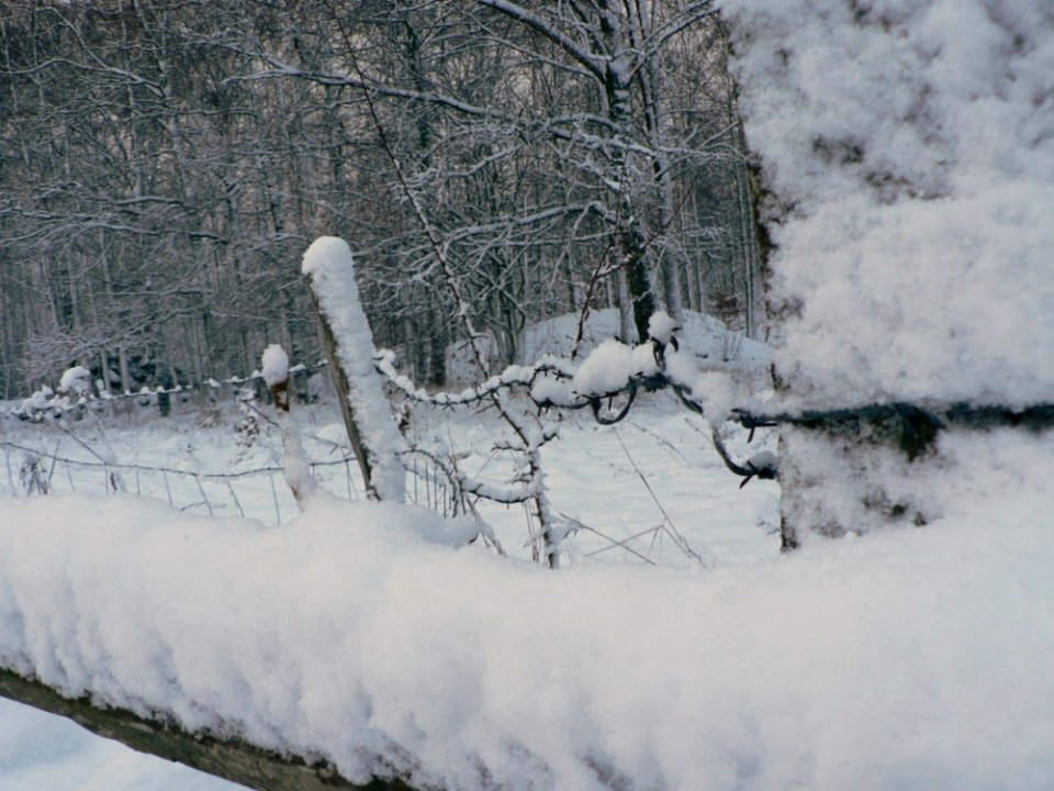 Snowy Wood Fence Close Up