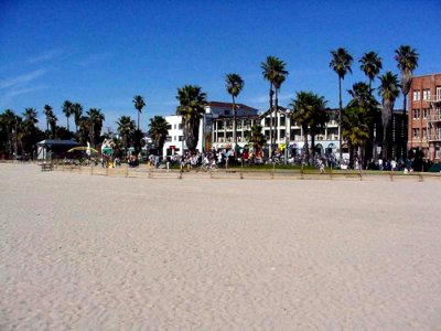 Venice Beach Drummers