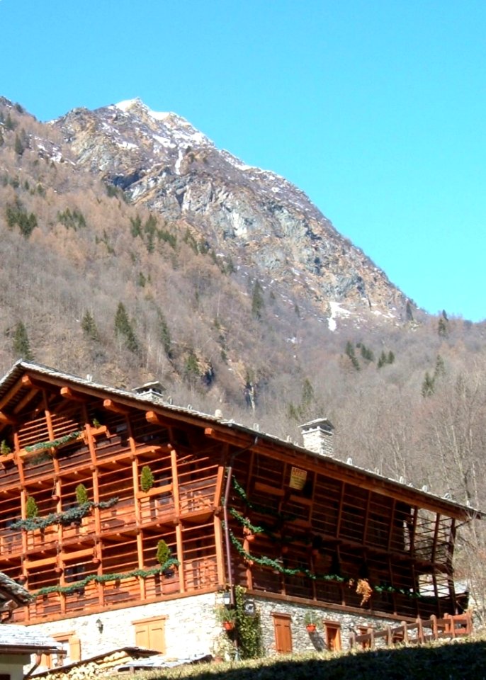Typical Alp House