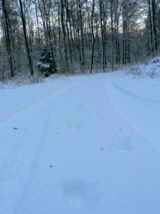 Tracks In The Snow
