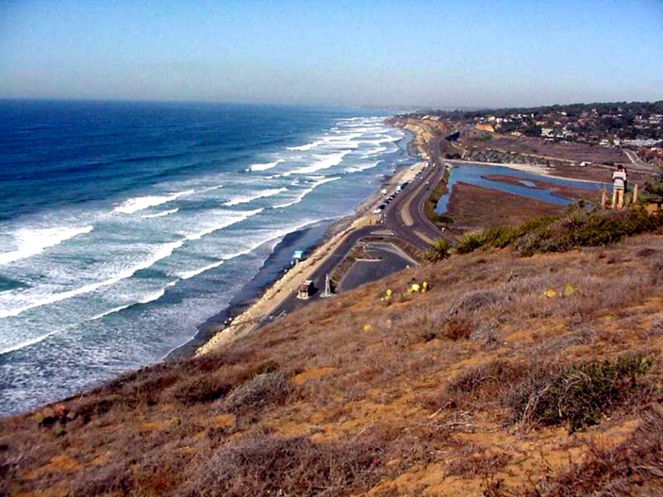 Torrey Pines State Park 2