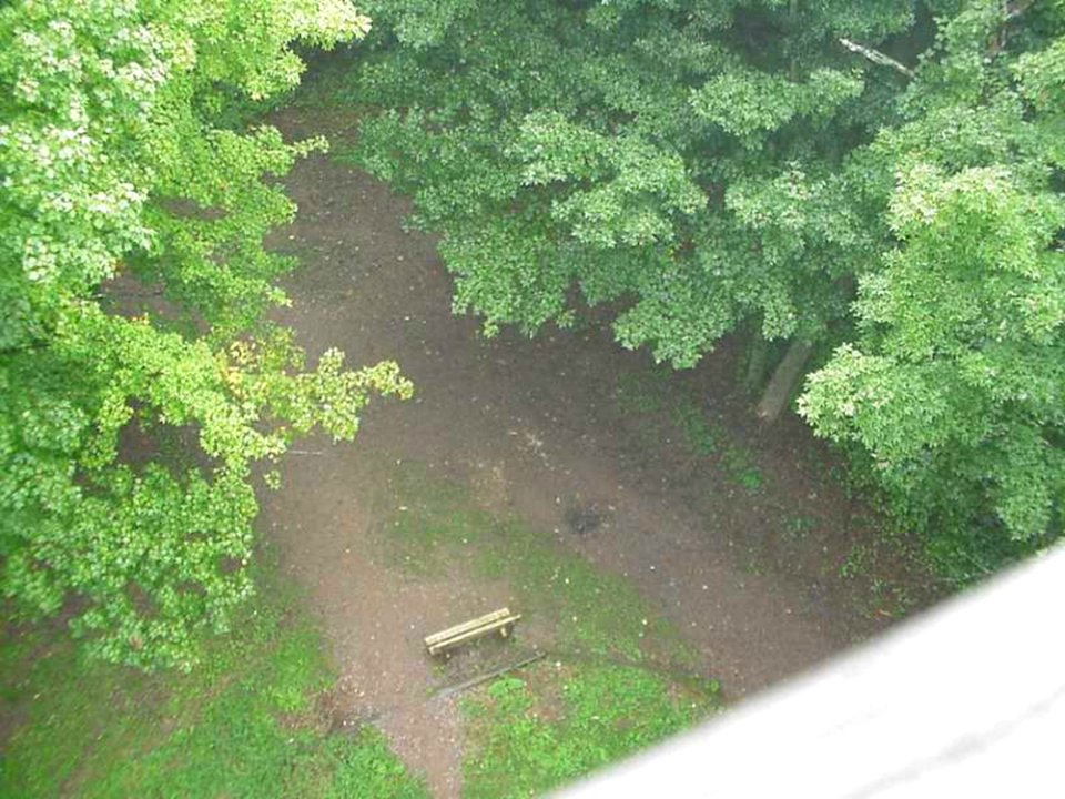 Timms Hill Park Tower