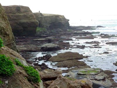 Tide Pools 2