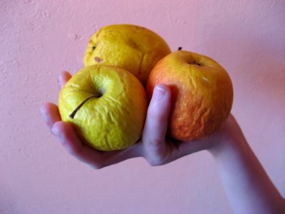 Three Apples In Hand