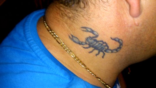Tattoo Of Scorpion