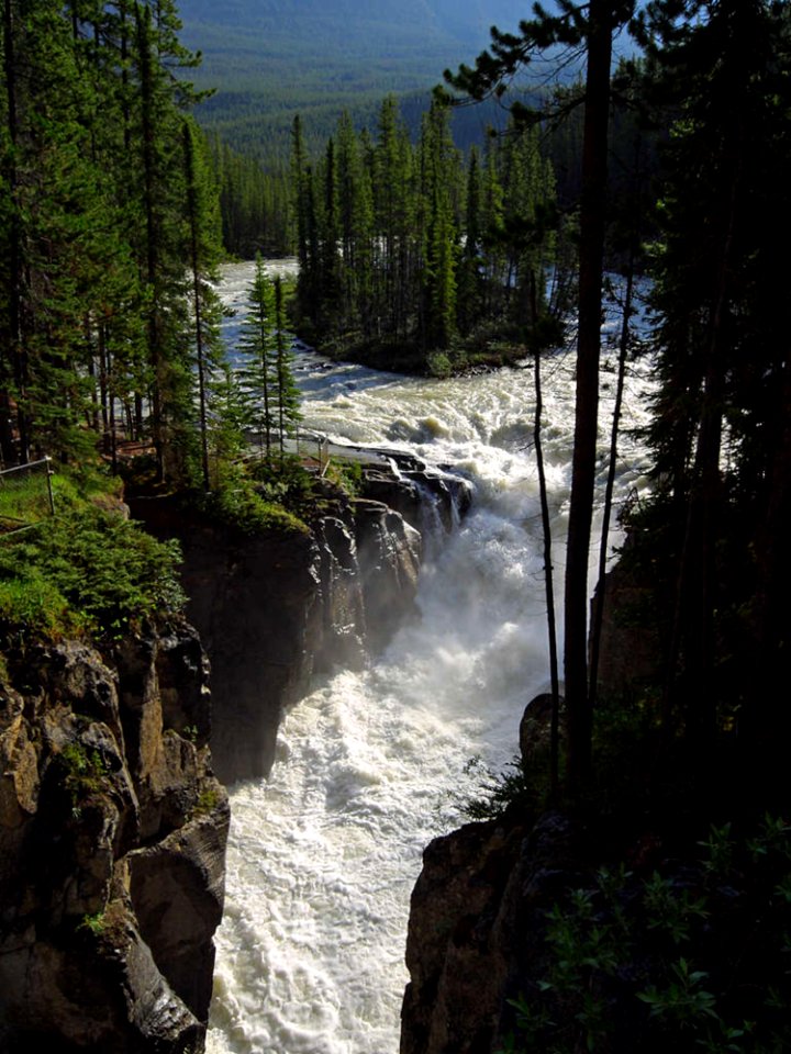 Sunwapta Falls Jasper