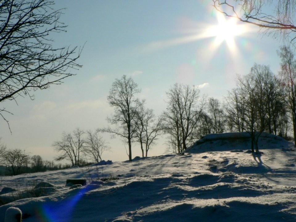 Sunshine On Snowy Tree Hill
