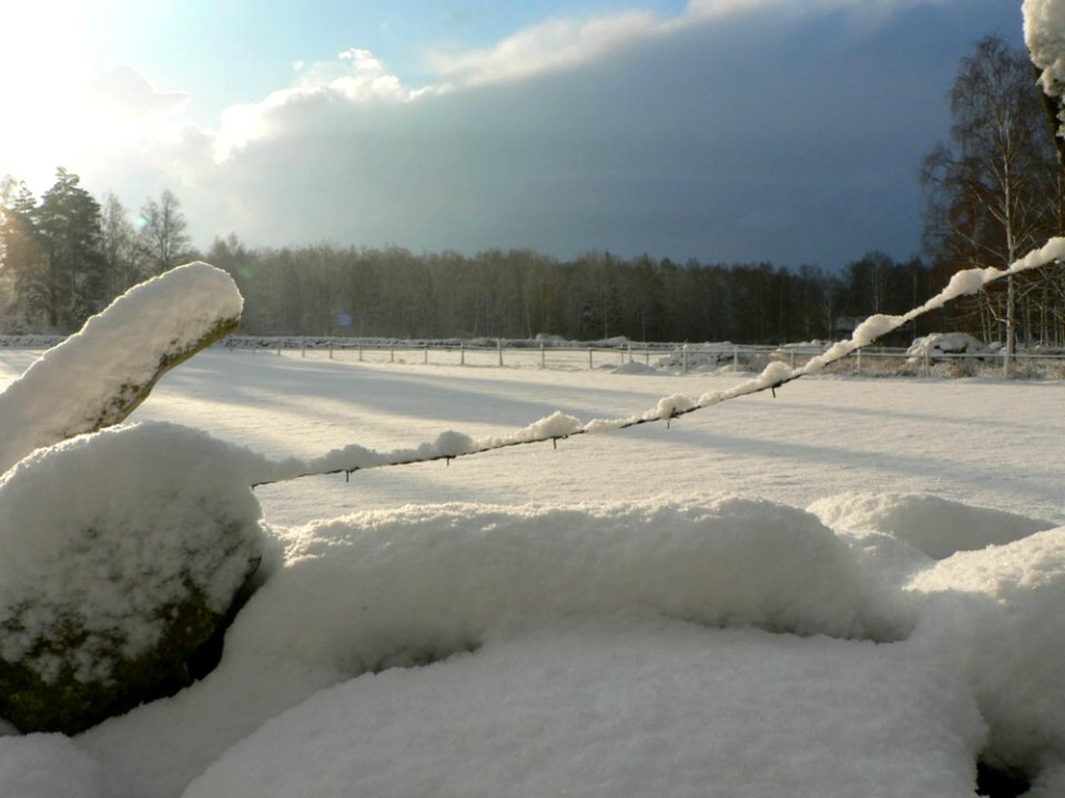 Sunny Snowy Fields
