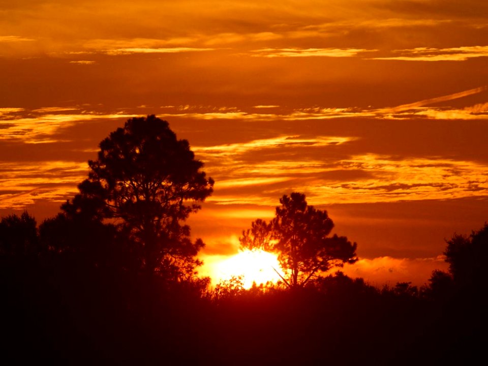 Sunrise 3