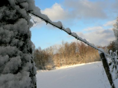 Snowy Barbwire Fence