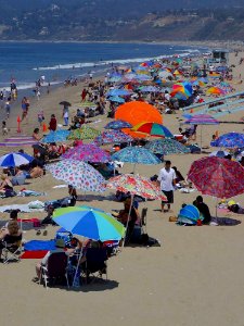 Santa Monica Beach photo