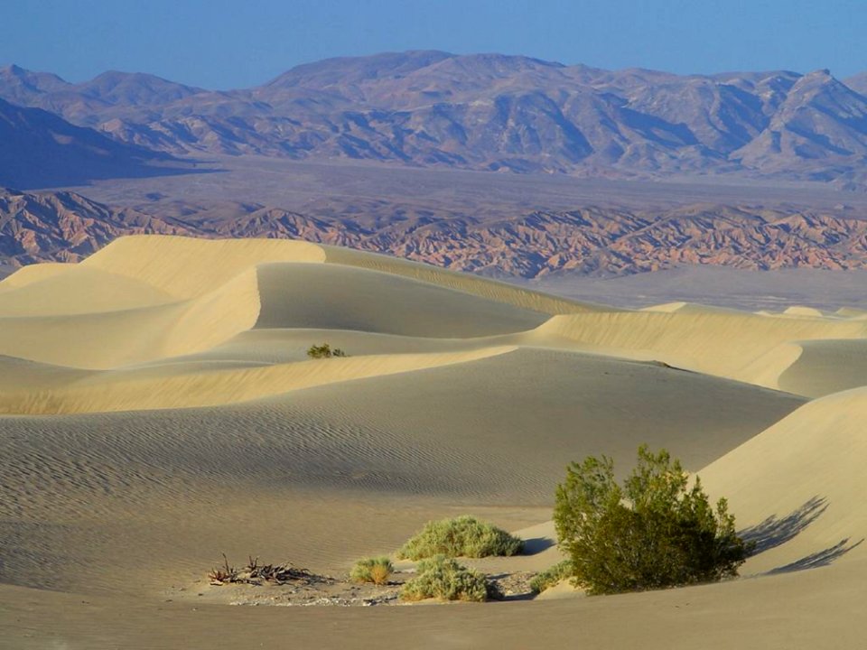 Sand And Desert