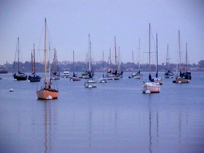 Sailboats