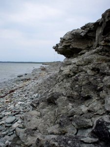 Rocky Shore
