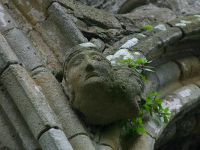 Rock Of Cashel 9