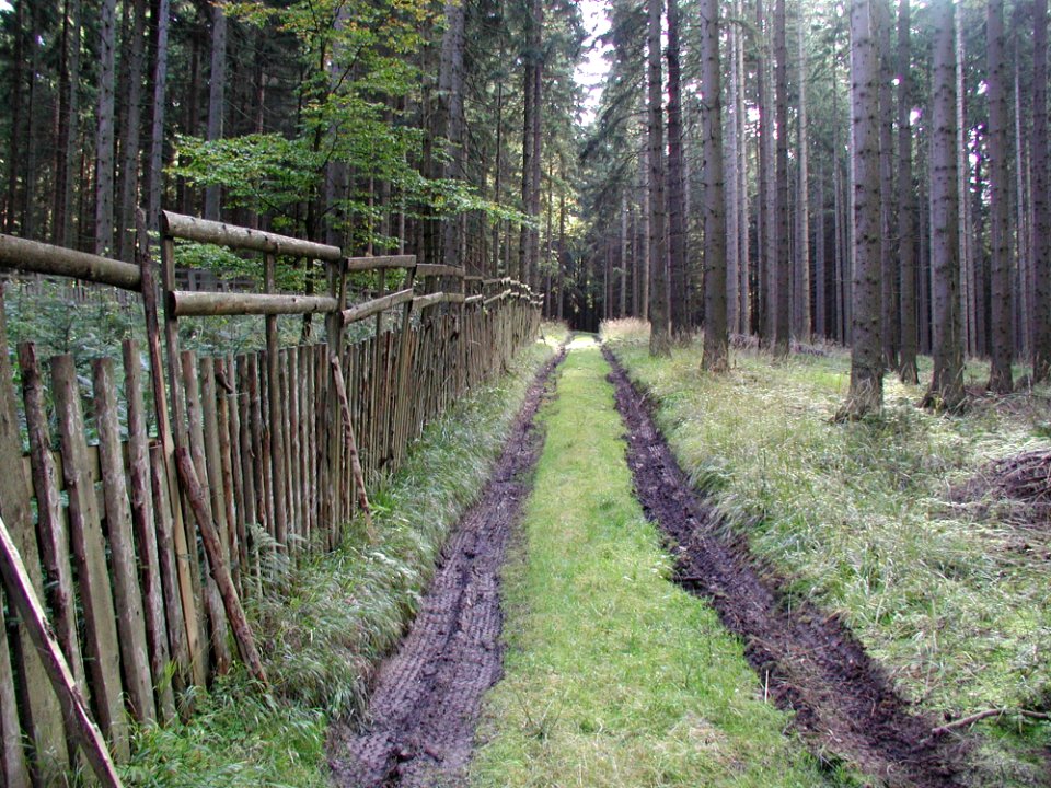 Road 9