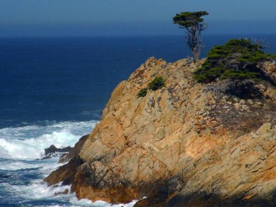 Point Lobos 2 photo