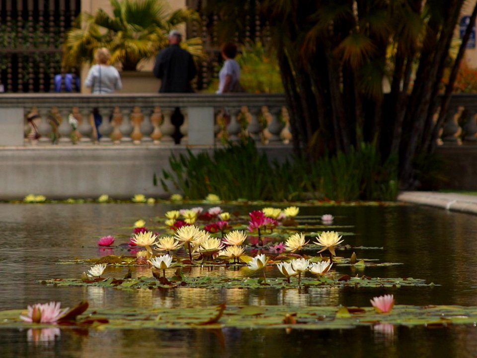 Pond 2